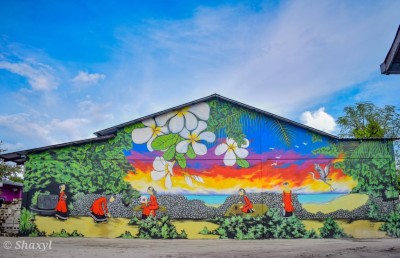 ކޮވިޑްގެ ބަލިމަޑުކަމުގެ ތެރެއިން ފައްކާވި ޑޮމެސްޓިކް ޓޫރިޒަމް