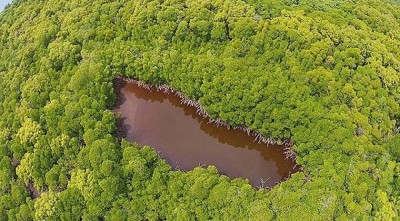 ވަގުތީގޮތުން ކޭލަކުނު ބަލަހައްޓާދޭނެ ބަޔަކު ހޯދަނީ