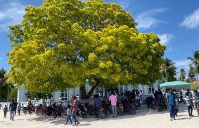 ހޭލަންވީ ހިސާބަށް ހިނގައްޖެ، އިތުރަށް ސަމާލުކަންދީ: ޑރ. ނަޒްލާ