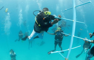 ރަސްފަރި ފަރުގައި މުރަކަ އިންދުމުގެ މަސައްކަތް ފަށައިފި
