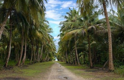 ކޮވިޑް-19: ބާރަށުން އިތުރު ތިން މީހަކު ޕޮޒިޓިވް، ޖުމުލަ އަދަދު 25 އަށް