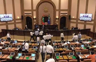 ނަޝީދު ވަކިކުރާ ގަރާރު ގޯސް ކަމަށް ނިންމައި އަލުން ހުށަހަޅަން އަންގައިފި