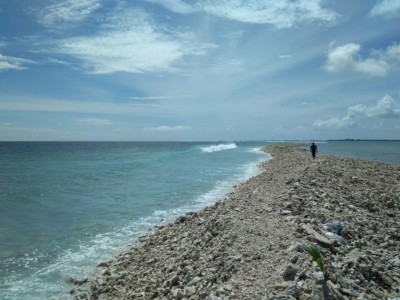 އައްޑޫ އިސްމަހެލަ ހެރަ ކައިރިން މާސިންގާ ހުރާގަނޑެއް އުފެދިއްޖެ