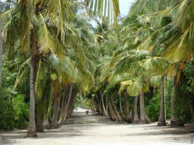 ހުޅުދުއްފާރުން ހޯމް ކަރަންޓީންގައި ހުރި މީހަކު ކޮވިޑަށް ޕޮޒިޓިވްވެއްޖެ