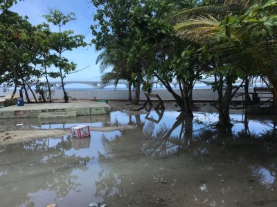 މިއަދުވެސް އުދަ އަރާފާނެތީ ސަމާލުވާން އިންޒާރުކޮށްފި