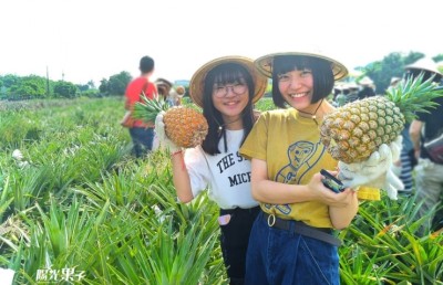 އަލަނާސިއާ ހެދި ޓައިވާނާއި ޗައިނާ ކޯޅެނީ