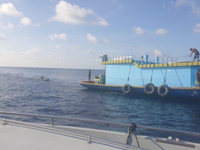 ލޯންޗަކާއި ދޯންޏެއް ޖެހި މީހަކަށް އަނިޔާވެއްޖެ