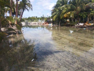ކުނަހަންދުއަށް އުދައަރައި ދަނޑުބިންތަކަށް ވަރަށް ބޮޑަށް ގެއްލުންވެއްޖެ