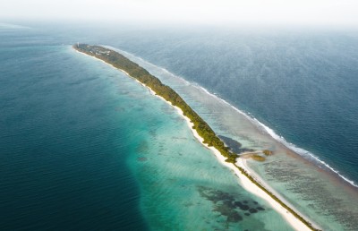 ދިގުރަށުގައި ކޮތަޅަކަށް ލައި އެއްލާލާފައި އޮތް ތުއްތު ކުއްޖަކު ކުނިގޮނޑުން ފެނިއްޖެ