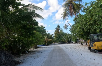 ކުއްޖާގެ މަންމަ ހޯދިއްޖެ؛ ހައްޔަރުކުރުމުގެ މަސައްކަތް ކުރަނީ