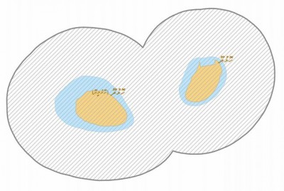 ހޮޅުދޫގެ އިހްތިސޯސްގެ ތެރެއަށް ހޮޅުމީދޫ އިތުރުކޮށްފި
