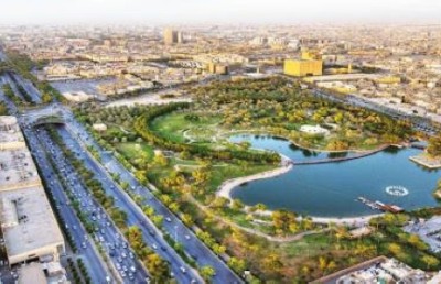 ސައުދީގައި 10 ބިލިއަން ގަސް އިންދަނީ