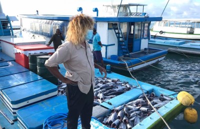 ކޮވިޑް: ރަށްރަށުގެ ކޭސްތައް ރާސްލާފައި މައްޗަށް