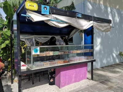 ހުޅުމާލޭގައި ހެދިކާ ޓެންޓުތައް ބެހެއްޓުމާ ބެހޭ އުސޫލަށް ހިޔާލު ހޯދަން ބައްދަލުވުންތަކެއް ބާއްވަނީ