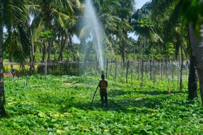 ދަނޑުވެރިކަމުގެ ބިންތަކުން ކުރިއަށް އޮތް ތިން އަހަރު ކުލި ނުނަގާނެ: ރައީސް