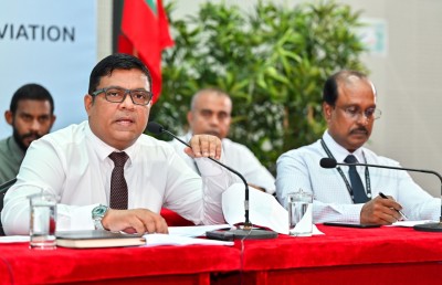 ދޫކޮށްފައި ހުރި ޑޮމެއިންތައް ނިޒާމަށް ފައްތައި، އާ ކޮންސެޕްޓަކަށް ޑޮމެއިން އަލުން ވިއްކަން ފަށަނީ