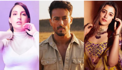 "ގަންޕަތު"ގައި ޓައިގާ އާއެކު ފެނިގެންދާނީ ނުޕޫރު އާއި ނޯރާ