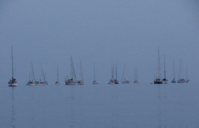 އުލިގަމު ޔޮޓު ބަނދަރާއި ހޮޓާއަށް ބީލަމެއް ހުށަހަޅާފައެއް ނުވޭ