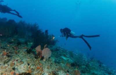 ދޯނީގެ ބުރަފަތިން ޖެހި، ޓޫރިސްޓުގެ ފައިން ބުރިވި ބައި ނުފެނުނު!