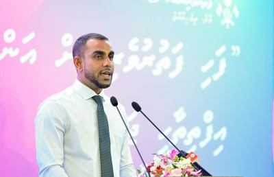 ދިވެހި ފަންނާނުންނަށް ގެއްލުންވާނެ ކަމެއް ނުކުރާނަން: ފައިސަލް