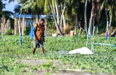ރޯދައަށް ހައްދާ ތަކެތީގެ އަގު ކޮންޓްރޯލެއް ނުކުރާނެ، އެހީވާނީ ބާޒާރަށް ތަކެތި ނެރެން: މިނިސްޓްރީ