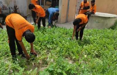 ދަނޑުވެރިކަން ވަކި މާއްދާއެއްގެ ގޮތުގައި ކިޔަވައިދޭން ފަށަނީ