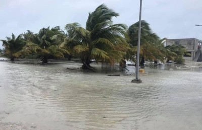 އުތުރަށް ނެރުނު އޮރެންޖް އެލާޓް މިރެއަށް ދަންމާލައިފި