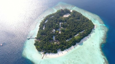 ބިޔާދޫ ރިސޯޓުން 17 ކޭސް، ސަފާރީއަކުން 24 ކޭސް ފެނިއްޖެ