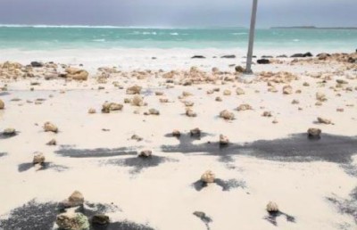އުތުރަށް ވަރަށް ގަދަ؛ ހޯރަފުށީ އެއާޕޯޓަށް ރާޅު އަރާތީ ދަތުރުތައް ހުއްޓިއްޖެ