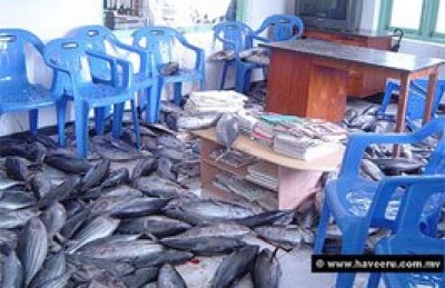"ކޮބައިހޭ މަސްވެރިންގެ ފައިސާކޮޅު"، މި ނޫން ދުވަހެއް ނާންނާނެތަ؟