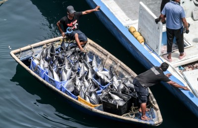 ހުޅުމާލޭގެ ވަގުތީ މަސްމާރުކޭޓް ހިންގަން ކުއްޔަށް ދެނީ