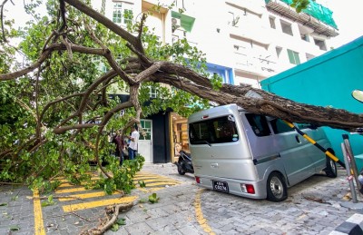 ޓީޓީ އެސޯސިއޭޝަން ގޯތިތެރޭގައި ހުރި ބޮޑު ގަސް ވެއްޓިއްޖެ