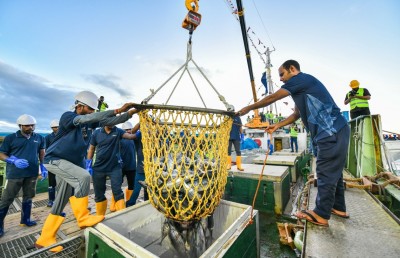 މިފްކޯ އަށް ލިބުނީ 395 މިލިއަން، މަސްވެރިންނަށް 435 މިލިއަން ދެއްކިއްޖެ: ޝިޔާމް