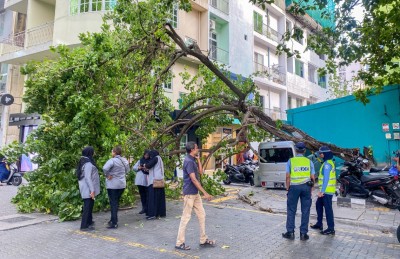 ޓީޓީ އެސޯސިއޭޝަން ގޯތިތެރޭގައި ހުރި ބޮޑު ގަސް ވެއްޓިއްޖެ