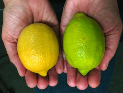 ލުނބޯއިން އެތައް އެތައް ބޭނުމެއް