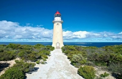 މަލިކުގައި އިންޑިއާގެ ކަނޑުގެ ސިފައިންގެ ބޮޑު މަރުކަޒު ހުޅުވުން މާދަމާ