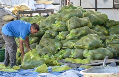 ޗަމްޕާ ބްރަދާސް އިން 50،000 ކާށި، 50 ޓަނު ކަރާ އަދި 10 ޓަނު ފިޔާ ހަދިޔާ ކުރަނީ