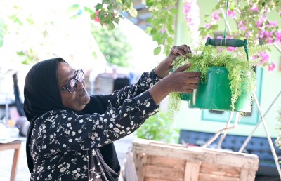 އާއިލާގެ ވަށައިގެން ހިމޭންކަން، އެކަމަކު އުފާވެރިކަން އިންތިހާ