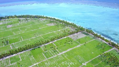 ޕޮޒިޓިވް ކޭސްތަކާ ގުޅިގެން ތޮއްޑޫ މޮނިޓަރިންގ އަށް ލައިފި