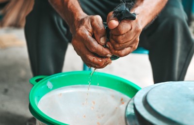 ކަށިކޭލުގެ ފޮނި މީރުންކަން މާ ތަފާތު ގޮތަކަށް މި ރަށުން