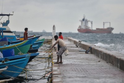 މޫސުން ގޯސްވެ، ކ އިން ވ އަށް ޔެލޯ އެލާޓު ނެރެފި