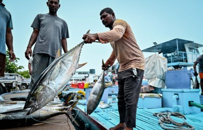 އިގްތިސާދީ އޮޑި ފުޅައިފަށުން ބީވިޔަ ނުދިނުމުގެ މަސައްކަތް ފަށަން ޖެހިފައިވަނީ އިއްޔެ އިން ފެށިގެން