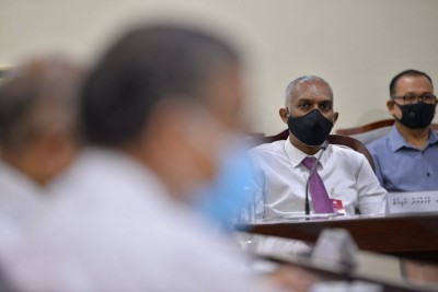 މަޖިލިސް ތަޅުން، މުއިއްޒުގެ އެންޓި ކެމްޕެއިނަށް