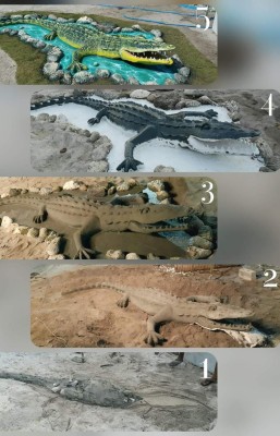 މި އާޓިސްޓް ބޭނުންވަނީ އުދުހިލާނެ ފުރުސަތެއް