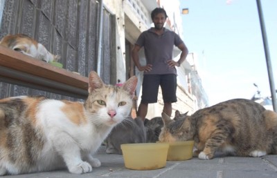 ބުޅާ ފެސިލިޓީއެއް ގާއިމްކުރަން ސިޓީ ކައުންސިލުން ނިންމައިފި