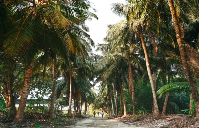 ނަލަންދޫ: ގުދުރަތީ ފުރިހަމަ ކަމުގެ އަޖައިބެއް