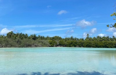 ދަތުރު ހަދާފައި ވިޔަސް ކަކުނި ކާން އަންނަންވީ ފުނަދުއަށް