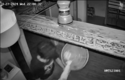 "ފަންކާ ވަގު" ފަންކާތައް ވިއްކާލާފައި ވަނިކޮށް ހޯދައިފި