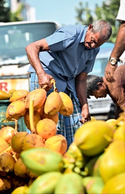 ބާޒާރުގައި ކުރުނބައެއް 70ރ. އިން މައްޗަށް