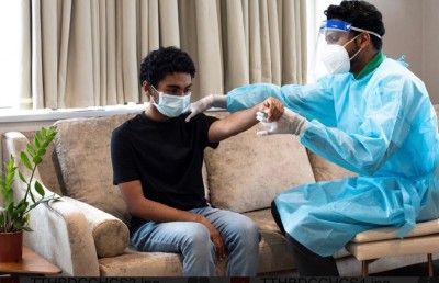 ޓްރީ ޓޮޕްގެ ހިދުމަތްތައް ގޭގެ އަށް!